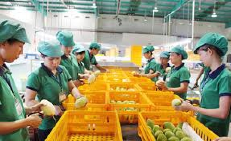 it is difficult to protect intellectual property rights for exported fruit