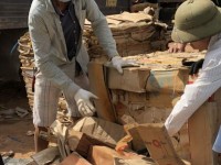 Smuggled wood hidden in a scrap paper consignment valued at nearly VND 800 million