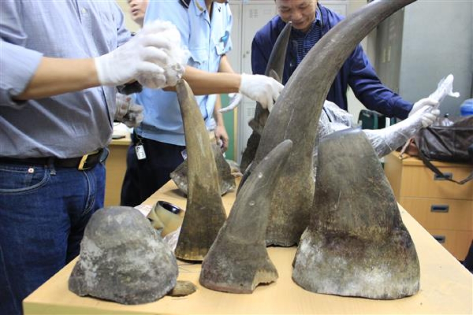 34 kg rhino horns transported via airway were seized