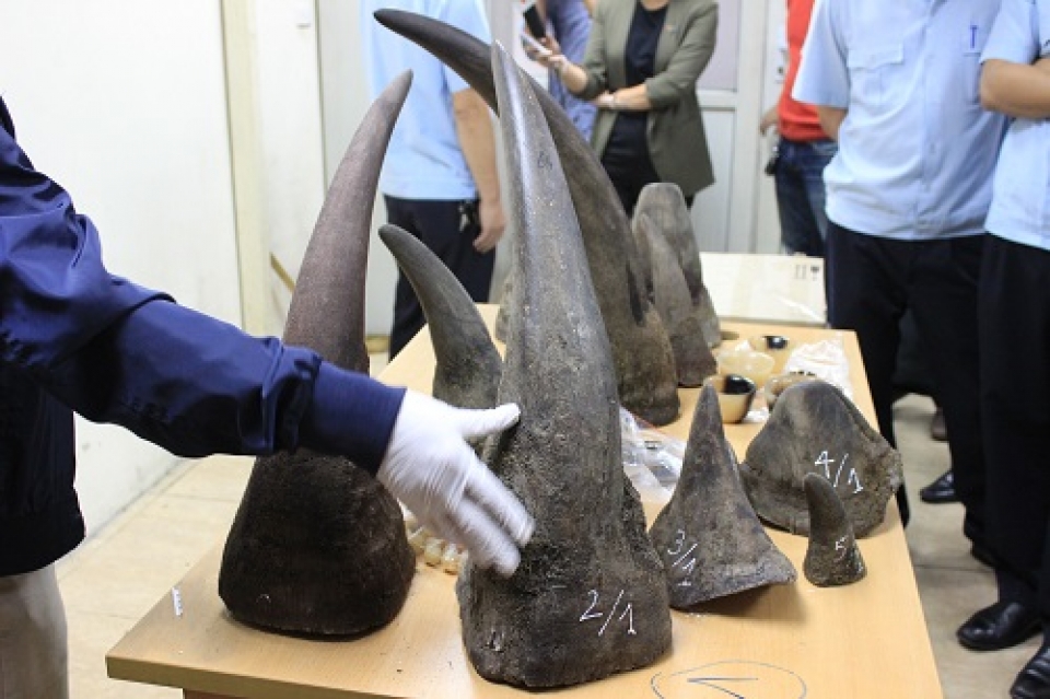 34 kg rhino horns transported via airway were seized