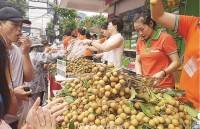 Fruits and vegetables export sharply declines