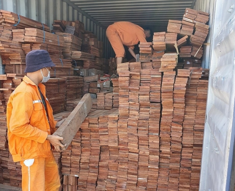 hai phong customs seized 3 containers of illegally imported valuable timber