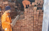 Hai Phong Customs seize containers of illegally imported timber