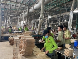 binh duong timber enterprise seeks to conquer the difficult market