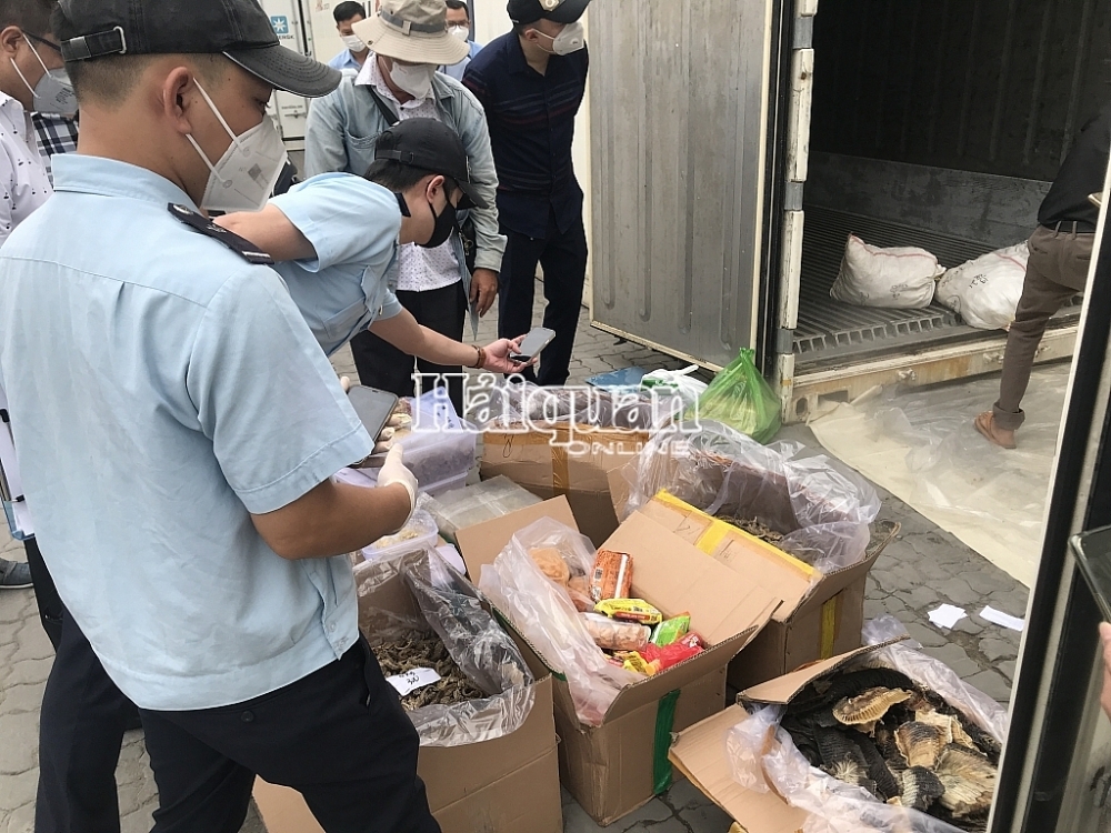 Customs seizes seahorses and bird's nest hidden inside container of blood cockles