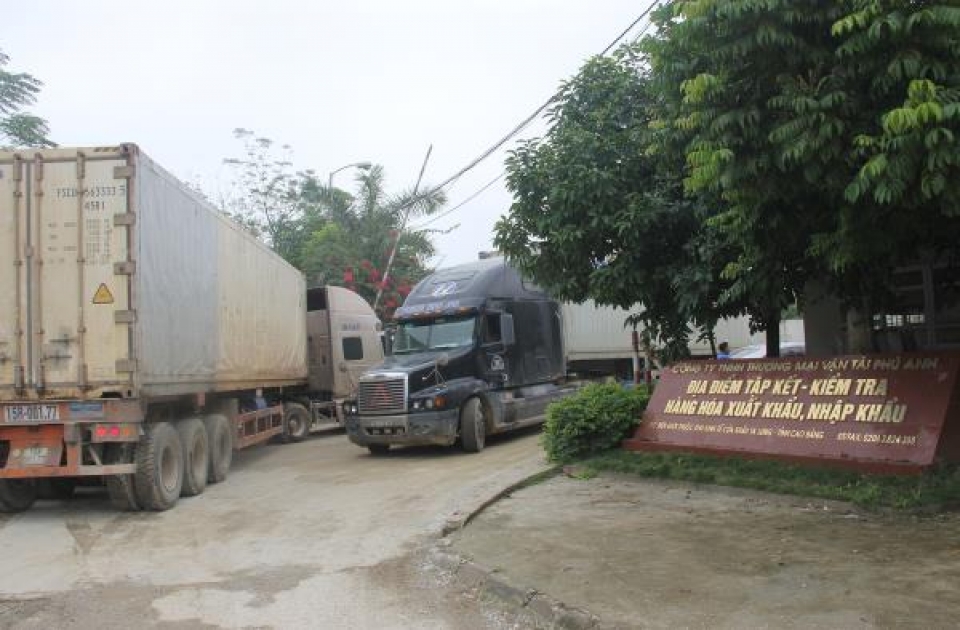 cao bang customs actively supports enterprises in deploying the automated system for customs management