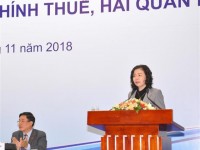 Deputy Minister of Finance Vu Thi Mai: “Expect to receive fair comments from enterprises”