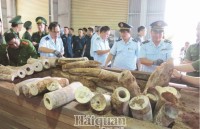 Customs effectively prevented transnational wildlife crime