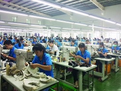 Leather and footwear exports could not reach goal of US$24 billion