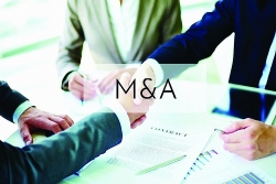 The M&A market has cooled down during the Covid period