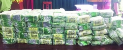 Drugs still a problem in Nghe An