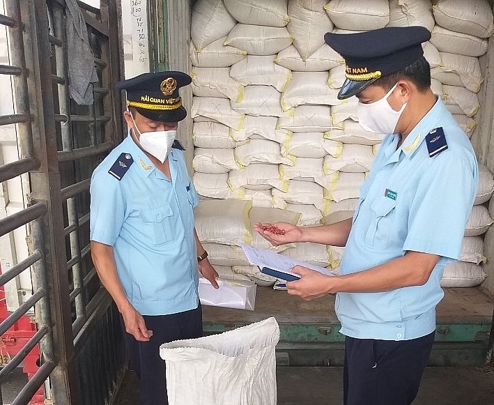 Exports at Thanh Thuy Border Gate face difficulties as China refuses to receive goods