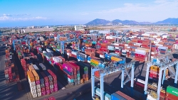 Specialized inspection reform will boost operational efficiency of Cai Mep - Thi Vai Port cluster