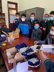 Ha Tinh Customs detects two drug trafficking cases