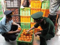 customs collects more than vnd 63 billion from the inspection