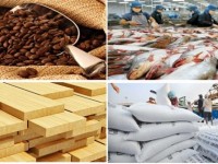 Collecting US$ 36 billion from exports of agricultural, forestry and fishery products