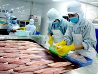Control of catfish exports to China