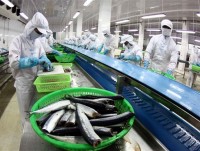 Fishery exports reach US$ 9 billion