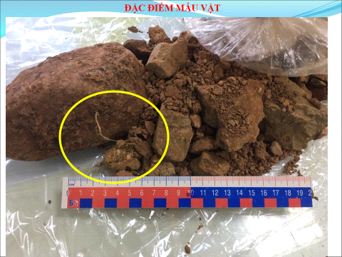 Prosecute smuggling case related to 44,000 tons of ore of Bao Nguyen Company