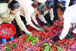 Agricultural production exported to China –official quota for sustainability