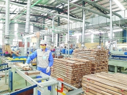 Preventing trade defence lawsuits in wood industry: Need for coordination with customs
