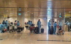 Over 19,000 passengers pass through Van Don Airport