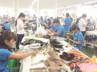 Exports of leather and footwear: removing obstacles to grow