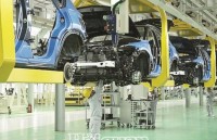 Car industry: Firmly steps from internal resources