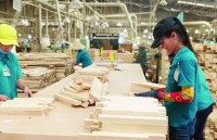 What waiting for Vietnamese wood exports?