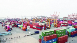Export "push" from new-generation FTAs