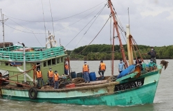 Ensure seafood exports do not violate regulations against IUU fishing