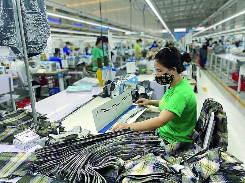 Enterprises are trying to take advantage of every opportunity from the FTA to keep the trade surplus. Photo: H.Diu