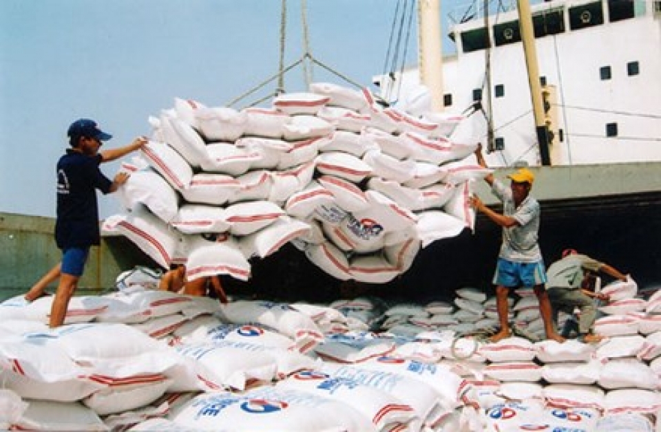 glutinous rice exports sharply increases