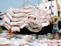 Glutinous rice exports sharply increase