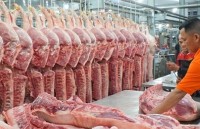 Coronavirus preventing enterprises from pork imports