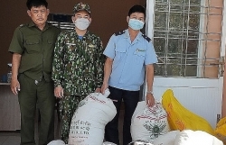 Dong Thap Customs handle many cases of smuggling during Tet