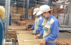 Overseas Vietnamese CEO illustrates different methods allowing local organizations to increase wood, rice, seafood exports to the US