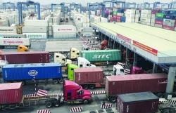 Hundreds of customs declarations made on port toll system