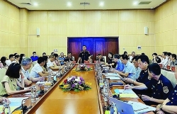 Quang Ninh Customs supports, accompanies enterprises