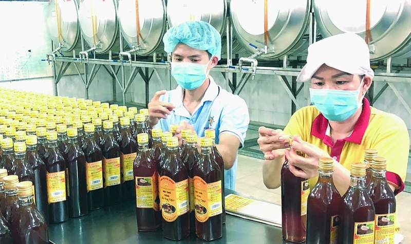 Vietnam's honey exports to the US market. Photo: collection