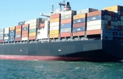 Demand falls, shipping lines face many challenges