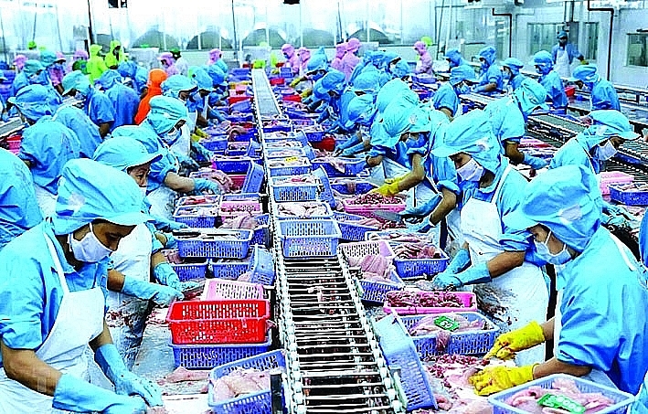 Seafood production for export