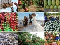 Agricultural products export billions of USD "plunged together"