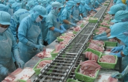 When Russia is excluded from SWIFT, seafood exports face difficulties and opportunities.