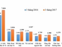 Major imported commodity groups in the first quarter of 2017