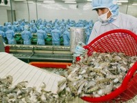 ​Overcoming the situation of seafood shipments returned by foreign countries