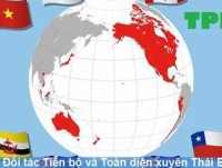 Why does Vietnam have to sign many FTAs?