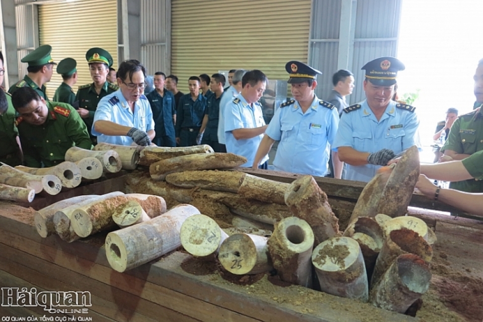 vietnam customs detects violations of the cites convention