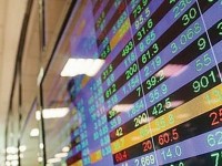 Amendment of Securities Law: Golden opportunity to remove problems for investors