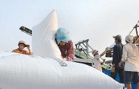 Ministry of Finance requests Ministry of Public Security to verify information on violations in rice export